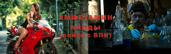 крисы Ельня