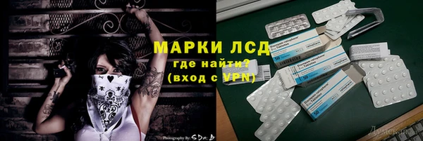 крисы Ельня