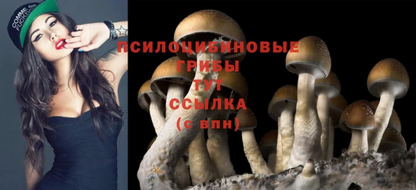кокс Елизово