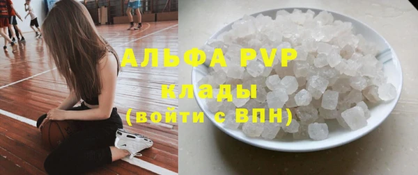 кокс Елизово