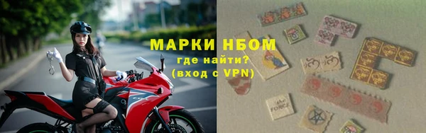 кокс Елизово