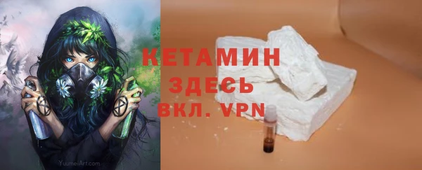 крисы Ельня