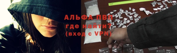 крисы Ельня
