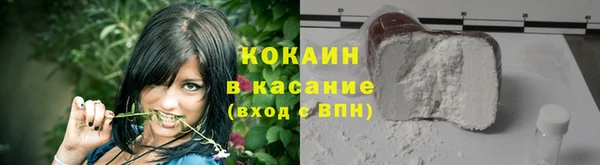 крисы Ельня