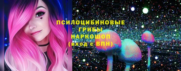 крисы Ельня