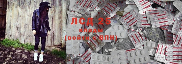 кокс Елизово
