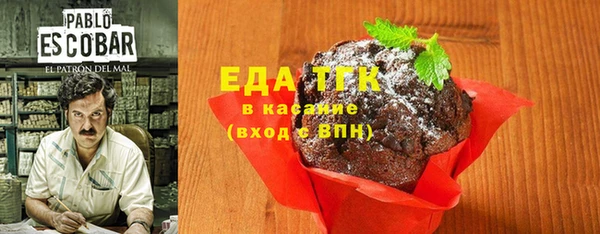 крисы Ельня