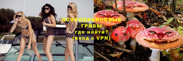 кокс Елизово