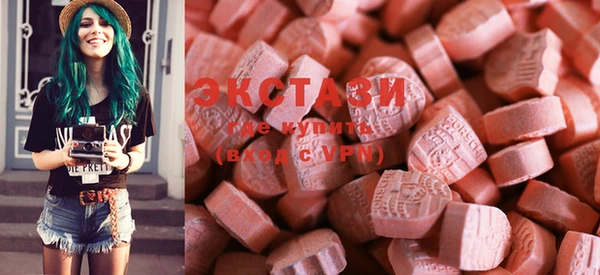 крисы Ельня