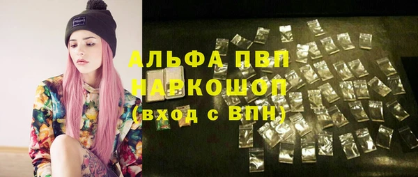 кокс Елизово