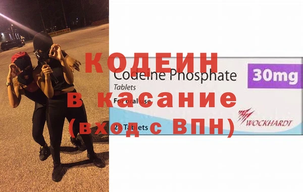 крисы Ельня
