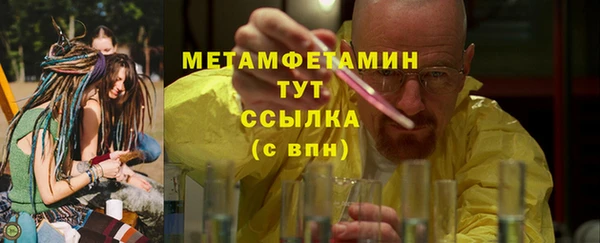 крисы Ельня