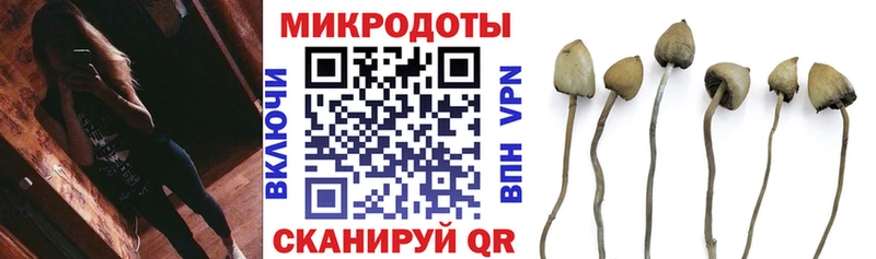 Псилоцибиновые грибы GOLDEN TEACHER  Купить  Дмитров 
